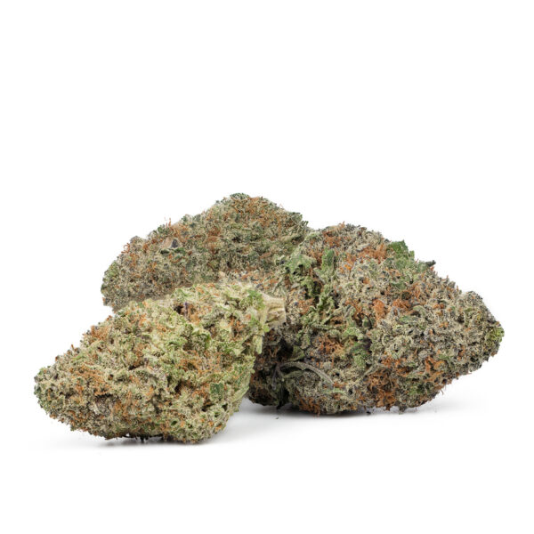 Buy Jack Herer Online