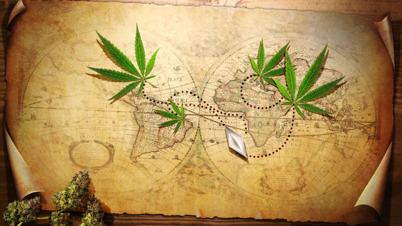 Weed Throughout History and the World